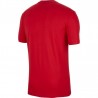 Nike Poland TEE Evergreen Crest M CU9191 611 sportiniai marškinėliai (54241)