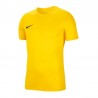 Nike Dry Park VII Jr BV6741-719 termo marškinėliai (52318)