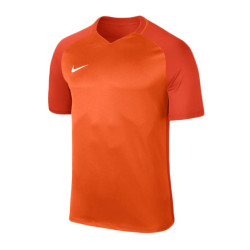 Nike Dry Trophy III M 881483-815 sportiniai marškinėliai (57862)