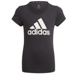 Adidas Essentials Big Logo Tee Jr GN4069 sportiniai marškinėliai (89495)