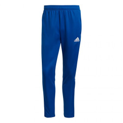 Adidas Tiro 21 Training M GJ9870 sportinės kelnės (79290)