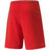 Puma teamRISE Short M 704942 01 sportiniai šortai (192911)