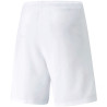 Puma teamRISE Short M 704942 03 sportiniai šortai (192973)