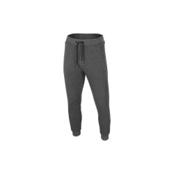 Trousers 4F M H4Z22-SPMD351 dark gray melange sportinės kelnės (192736)