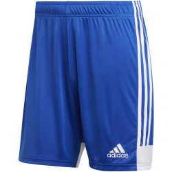 Adidas Tastigo 19 M DP3682 sportiniai šortai (46796)