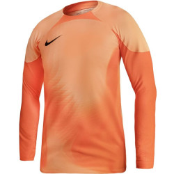 Nike Gardien IV Goalkeeper JSY M DH7967 819 sportiniai marškinėliai (96866)