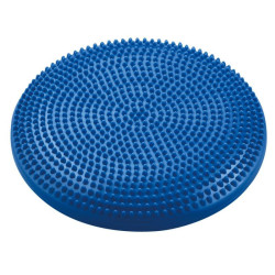 BB 015 Stabilizing Disc aksesuarai (95465)