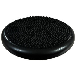 PROFIT DK 2111 inflatable disc aksesuarai (197944)