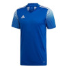 Adidas Regista 20 JSY M FI4554 sportiniai marškinėliai (52255)