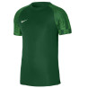 Nike Dri-Fit Academy SS M DH8031 302 sportiniai marškinėliai (190215)