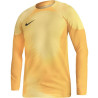 Nike Gardien IV Goalkeeper JSY M DH7967 719 sportiniai marškinėliai (194911)