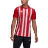 adidas Striped 21 M GN7624 sportiniai marškinėliai (88882)