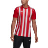 adidas Striped 21 M GN7624 sportiniai marškinėliai (88882)