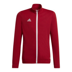 Adidas Entrada 22 Track Jr H57563 džemperis (96177)