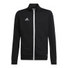 Adidas Entrada 22 Track Jr H57520 džemperis (96186)