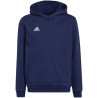 Adidas Entrada 22 Hoody Jr H57517 džemperis (197900)