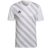 adidas Entrada 22 Graphic M HF0129 sportiniai marškinėliai (96726)