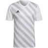 adidas Entrada 22 Graphic M HF0129 sportiniai marškinėliai (96726)
