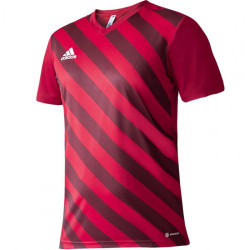 adidas Entrada 22 Graphic M HB0572 sportiniai marškinėliai (96731)