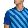adidas Entrada 22 Graphic M HF0116 sportiniai marškinėliai (96733)