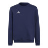 Adidas Entrada 22 Hoody Jr H57568 džemperis (184454)