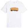 Puma Graphics Hip Hop Tee M 677189 02 sportiniai marškinėliai (198289)