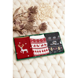 Kalėdinis jaunimo kojinių komplektas 199108