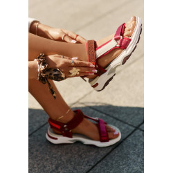 Moteriški Velcro sandalai D.Franklin DFSH406003 bordo 200885