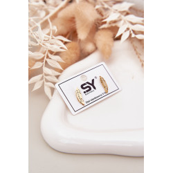 Lapų Auskarai Su Zirkoniais Nerūdijančio Plieno Auksas 202022