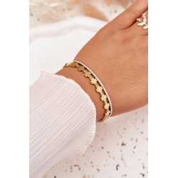 Nerūdijančio plieno apyrankė papuošta cirkonių auksu 202049