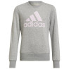 Adidas Big Logo Swt Jr HM8706 džemperis (197855)
