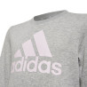 Adidas Big Logo Swt Jr HM8706 džemperis (197855)