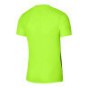 Nike Dri-FIT Precision 6 M DR0944-702 sportiniai marškinėliai (194930)