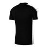Nike Dri-FIT Academy M DR1346-010 sportiniai marškinėliai (197345)