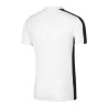 Nike Dri-FIT Academy M DR1346-100 sportiniai marškinėliai (198054)
