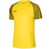 Nike Df Academy Jsy SS Jr DH8369 719 sportiniai marškinėliai (198087)