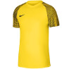 Nike Df Academy Jsy SS Jr DH8369 719 sportiniai marškinėliai (198087)