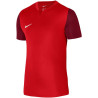 Nike Df Trophy V JSY SS DR0942 657 sportiniai marškinėliai (198138)