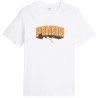 Puma Graphics Hip Hop Tee M 677189 02 sportiniai marškinėliai (198289)