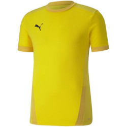 Puma teamGOAL 23 M 704171 07 sportiniai marškinėliai (202398)