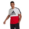 adidas Essentials Colorblock Single Tee M HE4330 sportiniai marškinėliai (202867)