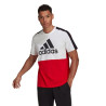 adidas Essentials Colorblock Single Tee M HE4330 sportiniai marškinėliai (202867)