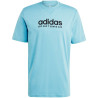 Adidas All SZN Graphic Tee M IC9820 sportiniai marškinėliai (202952)