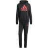 adidas Big Logo Terry Track Suit M IP5553 sportinis kostiumas (203035)