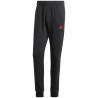 adidas Big Logo Terry Track Suit M IP5553 sportinis kostiumas (203035)
