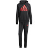 adidas Big Logo Terry Track Suit M IP5553 sportinis kostiumas (203035)