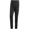 adidas Big Logo Terry Track Suit M IP5553 sportinis kostiumas (203035)